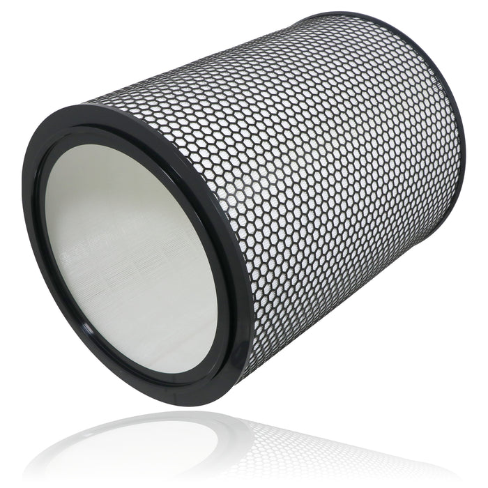 DYSON Big & Quiet Air Purifier Filter BP03 BP04 BP06 True HEPA 972132-01