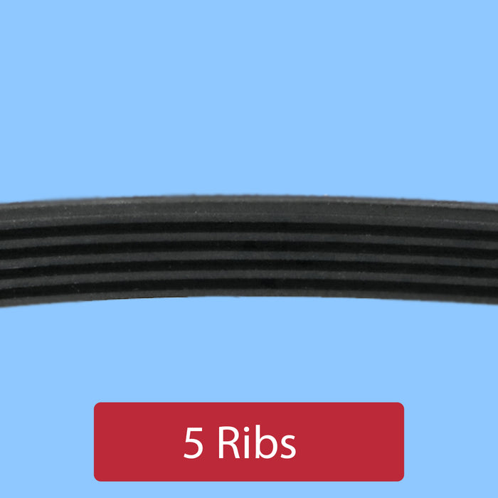 Proline Washing Machine Drive Belt 1281J5PJE FP812 FP8120WE FP812E FP812E1 12638100000250