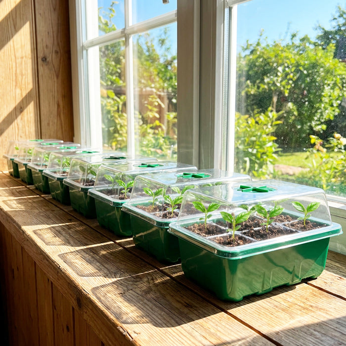 Seed Starting Propagator Tray Garden Plant Seedling Germination Starter Grow Kit (Pack of 20, 240 Cells)