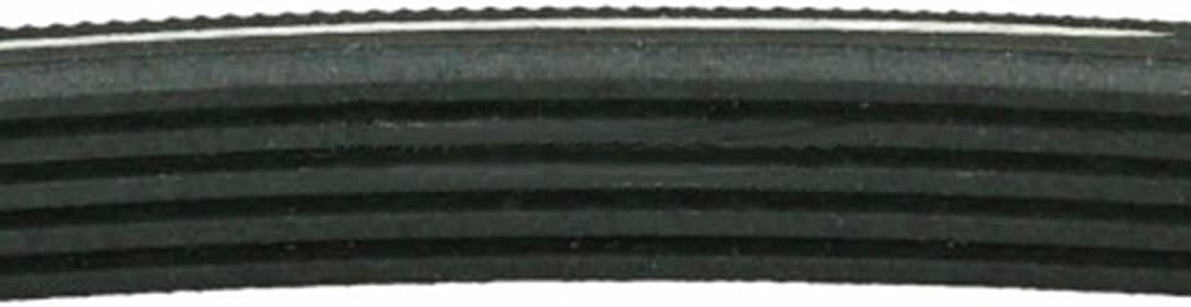 1245J5 Poly V Drum Drive Belt for WHIRLPOOL Washing Machine