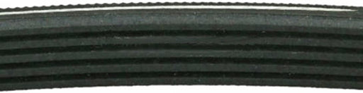 1245J5 Poly V Drum Drive Belt for Hotpoint Washing Machine